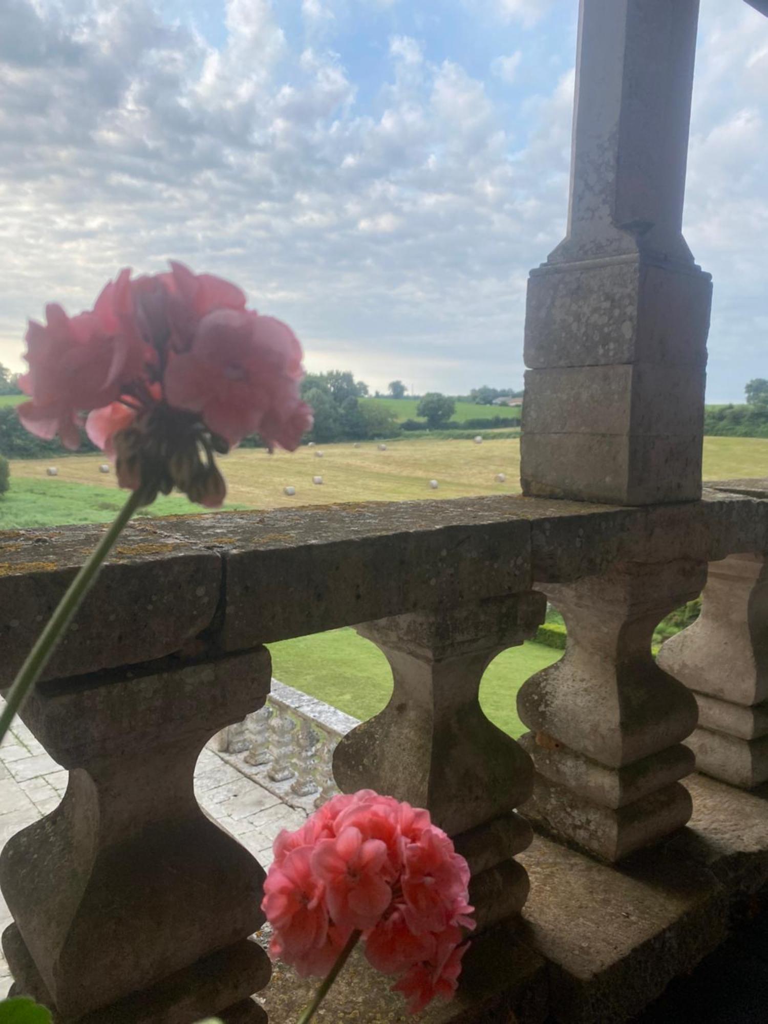 Chateau De Cibioux Surin  Exteriér fotografie